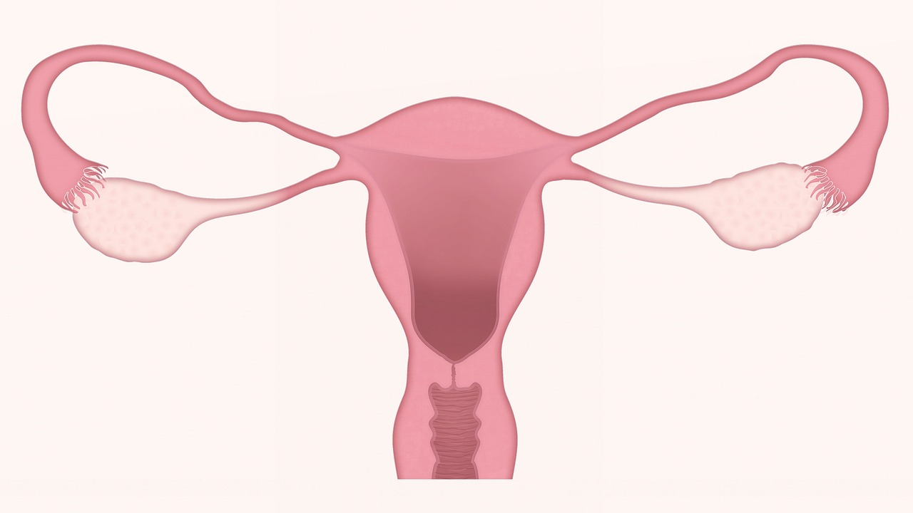 Gynaecology Hospital in Ludhiana