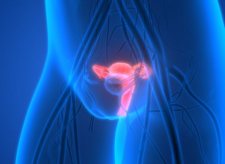 best kidney stone removal surgery