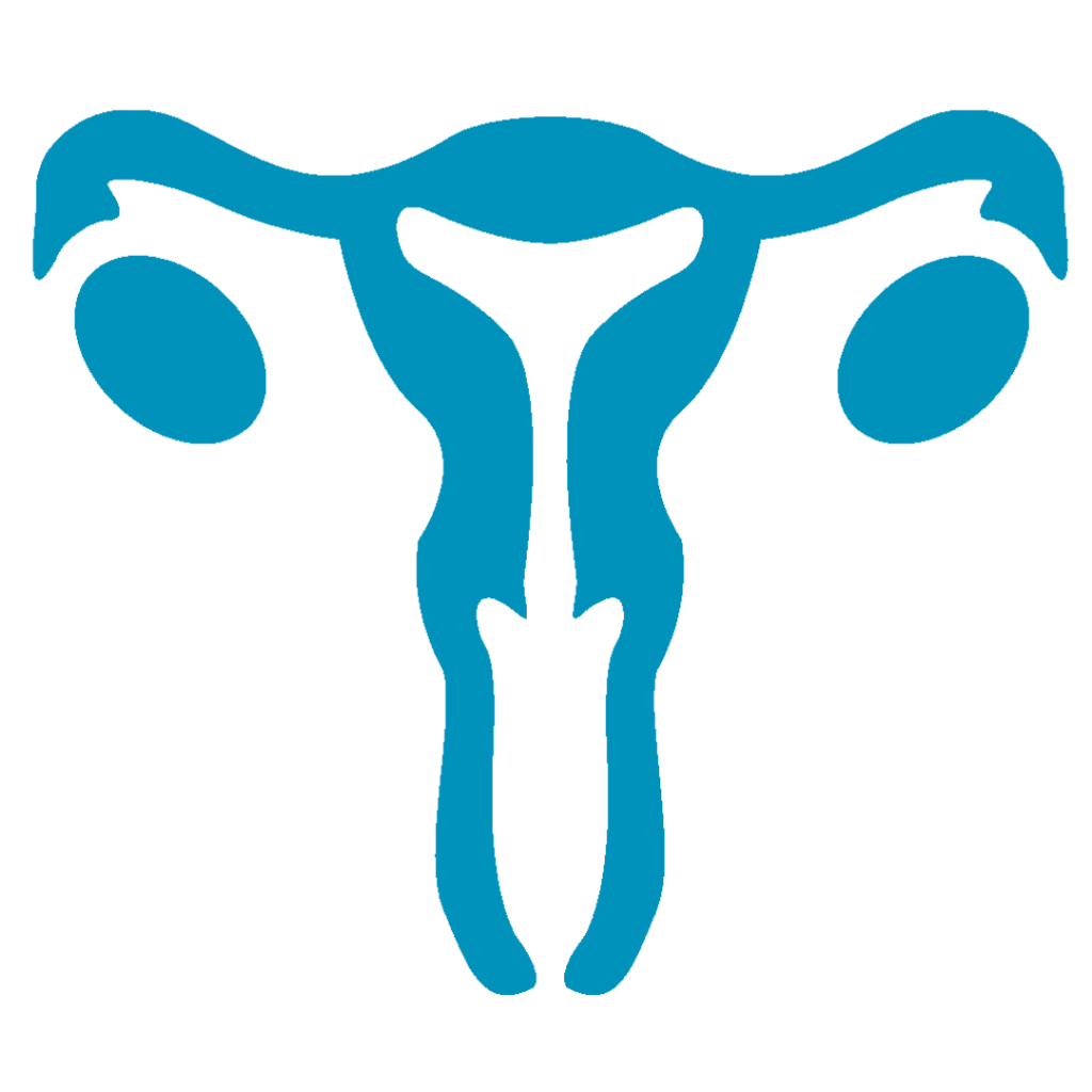Ureteroscopic Lithotripsy in Punjab & Ludhiana