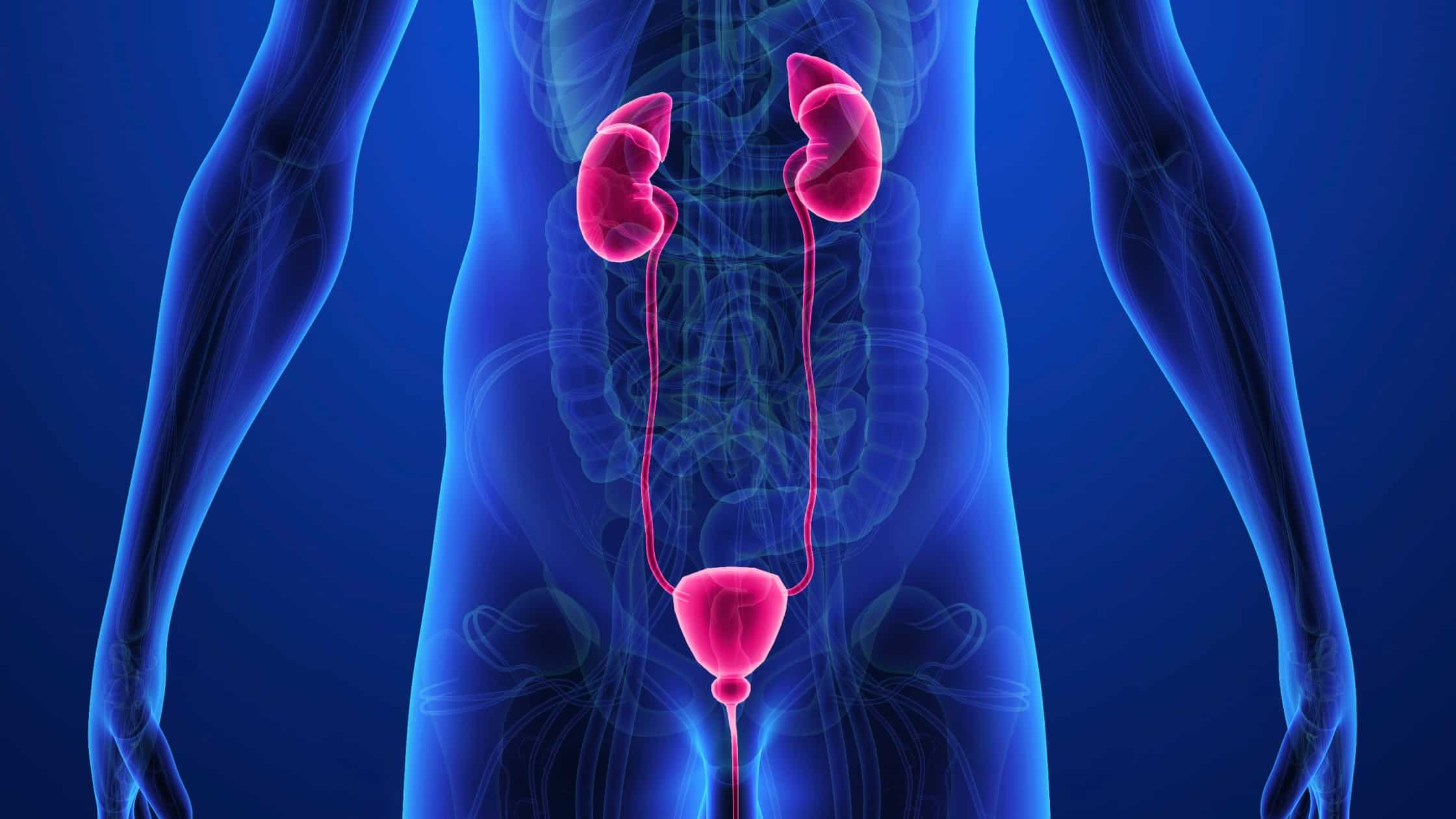 Urology hospital in Ludhiana – laser kidney stone treatment at Prolife Hospitals
